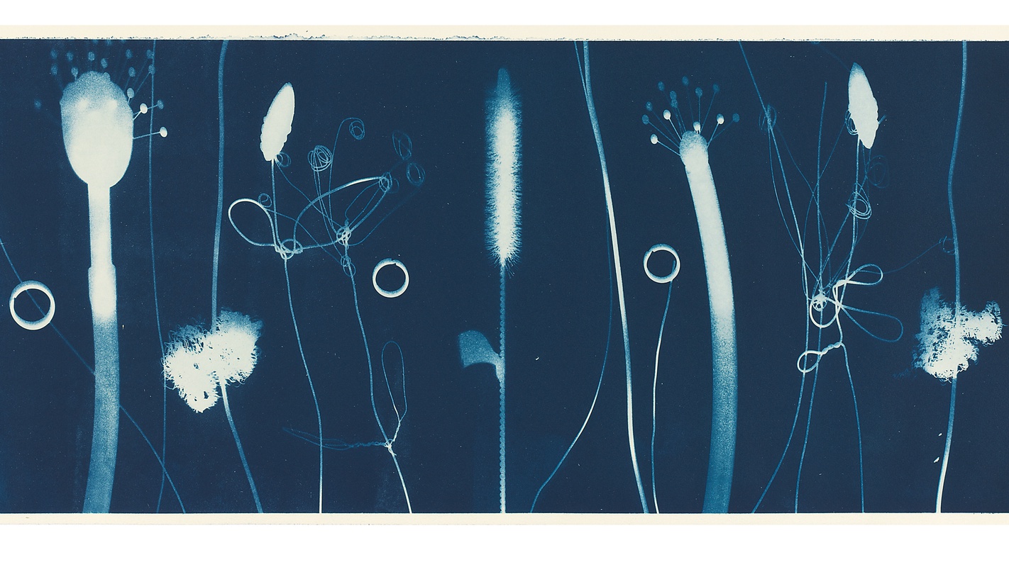 Kurt Dornig – Sommer - Kurt Dornig Grafikdesign