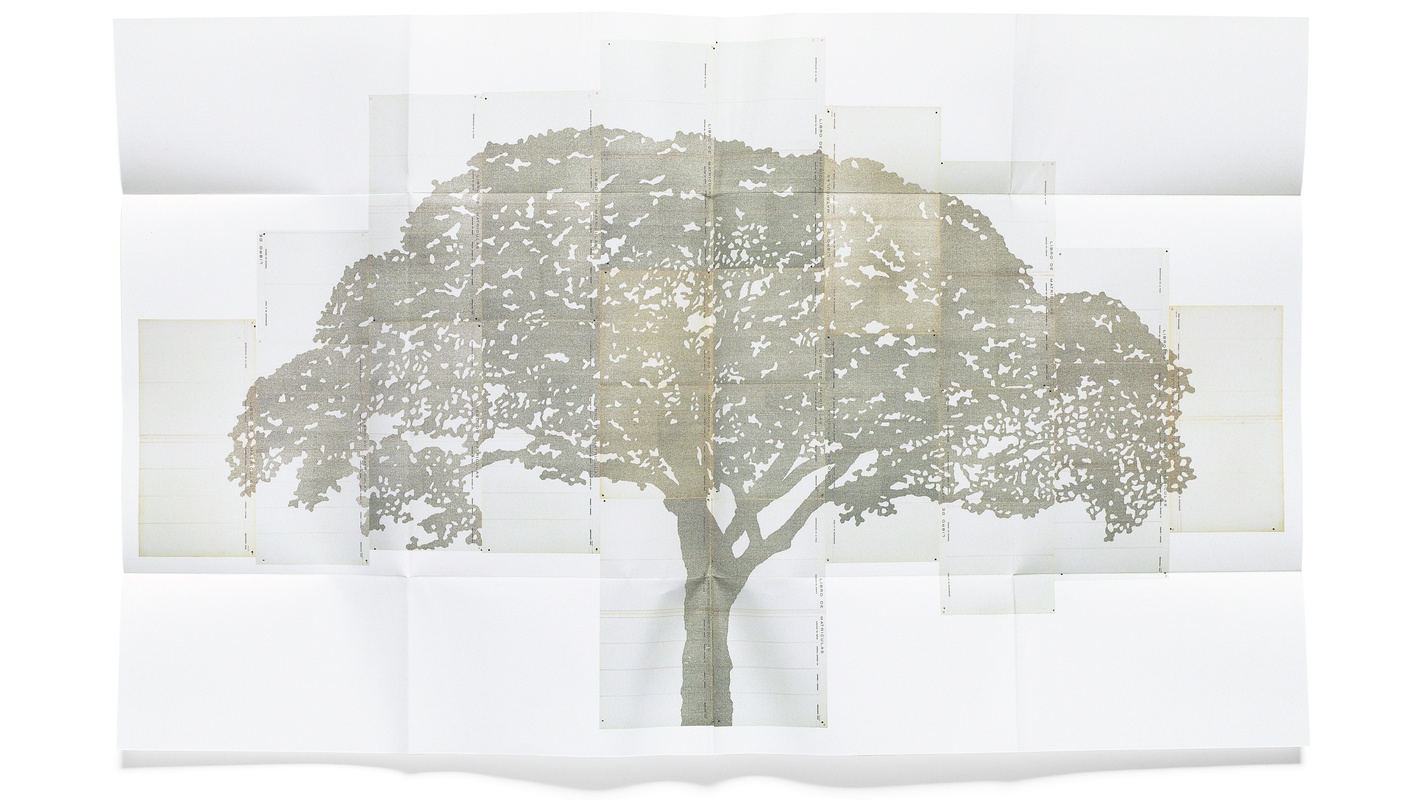 Albertina – Faszination Papier - Kurt Dornig Grafikdesign