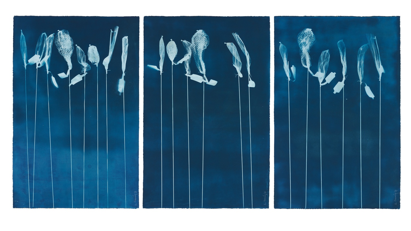 Kurt Dornig – Sommer - Kurt Dornig Grafikdesign